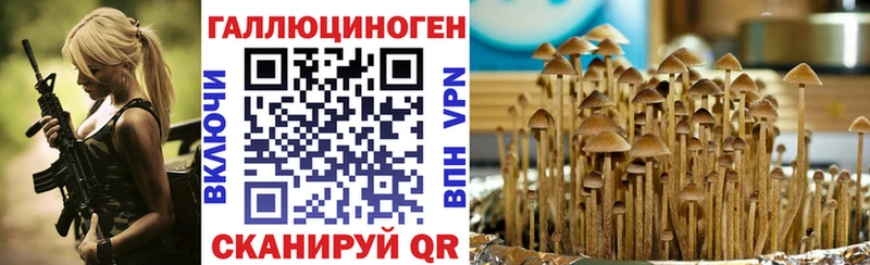 hydra онион  Киренск  Псилоцибиновые грибы мухоморы  цена наркотик 
